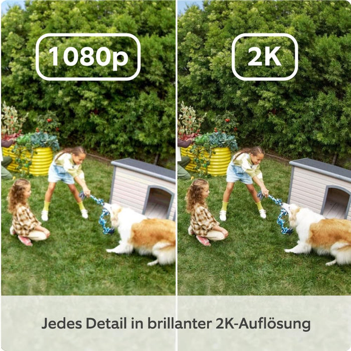 Ring Outdoor Cam Plus (Schwarz, Akku) Produktbild