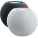 Apple HomePod mini (Space Grau) Produktbild