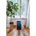 Bosch Smart Home Tür-/Fensterkontakt II Plus (Schwarz) Produktbild